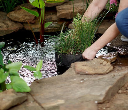 Smart Pots Pond Flexible Aquatic Plant Container for Water Gardening, 3 Gallon, Black