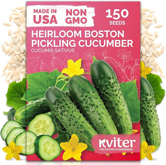 KVITER 150 Boston Pickling Cucumber Seeds (Cucumis sativus) - Boston Pickler Cucumber Organic, Perfect Cucumbers for Pickling and Slicing - Vegetable Seeds for Planting in Home Garden & Containers