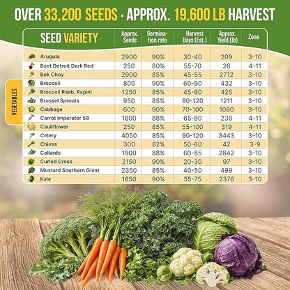 Organo Republic 30 Most Popular Winter Vegetable Garden Seeds Variety Pack- Outdoors/Indoor 33,200+ Non-GMO Heirloom Veggie Seeds Broccoli Beet Carrot Cabbage Chives Lettuce Radish Pea Spinach & More