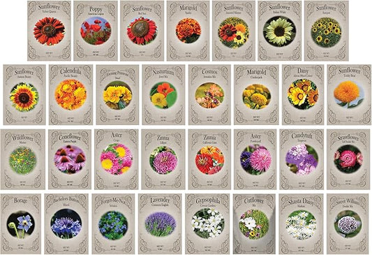 Set of 62 Premium Variety Flower Seed Packets - Heirloom Non-GMO and Proudly Sourced in The USA (62)