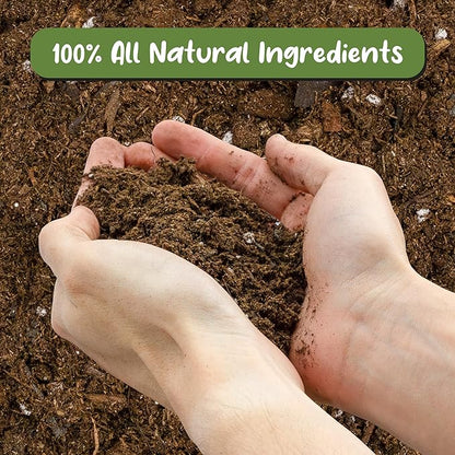 Soil Sunrise Anthurium Plant Potting Soil Mix (8 Quarts) Indoor Houseplant Custom Blend for Flowering Anthuriums