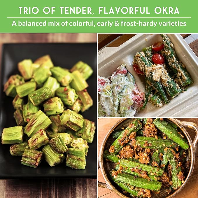 Survival Garden Seeds Okra Seed Collection for Planting – 3 Packets – Grow Clemson Spineless, Emerald & Red Burgundy Okra Plants in Your Home Vegetable Garden – Non-GMO Heirloom Variety Seeds