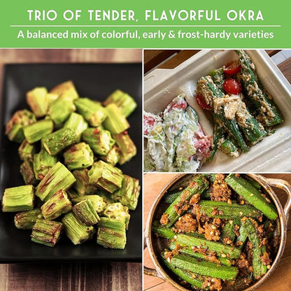 Survival Garden Seeds Okra Seed Collection for Planting – 3 Packets – Grow Clemson Spineless, Emerald & Red Burgundy Okra Plants in Your Home Vegetable Garden – Non-GMO Heirloom Variety Seeds