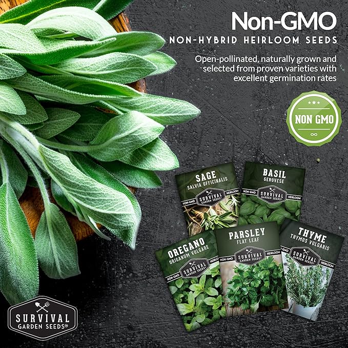 Survival Garden Seeds - Italian Herb Collection Seed Vault - Basil, Oregano, Thyme, Sage, Flat Leaf Parsley - Non-GMO Heirloom Varieties of Culinary & Medicinal Herbs for Any Garden or Homestead