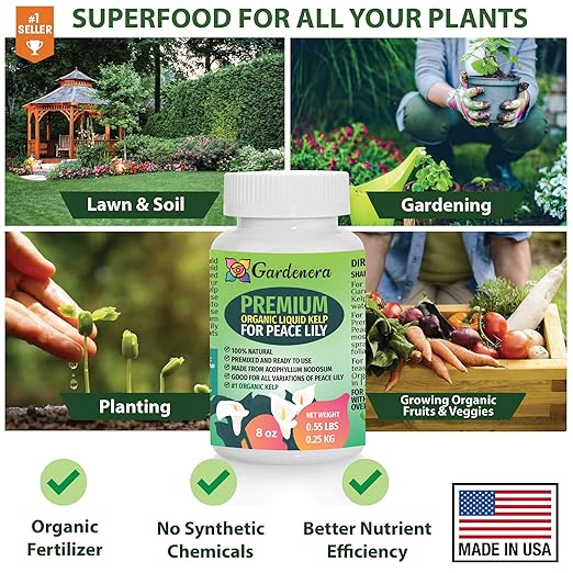 GARDENERA Premium Organic Seaweed & Kelp Superfood for Peace Lily Plants - 8 oz - Liquid Kelp Fertilizer Concentrate (Makes 45 Gallons)