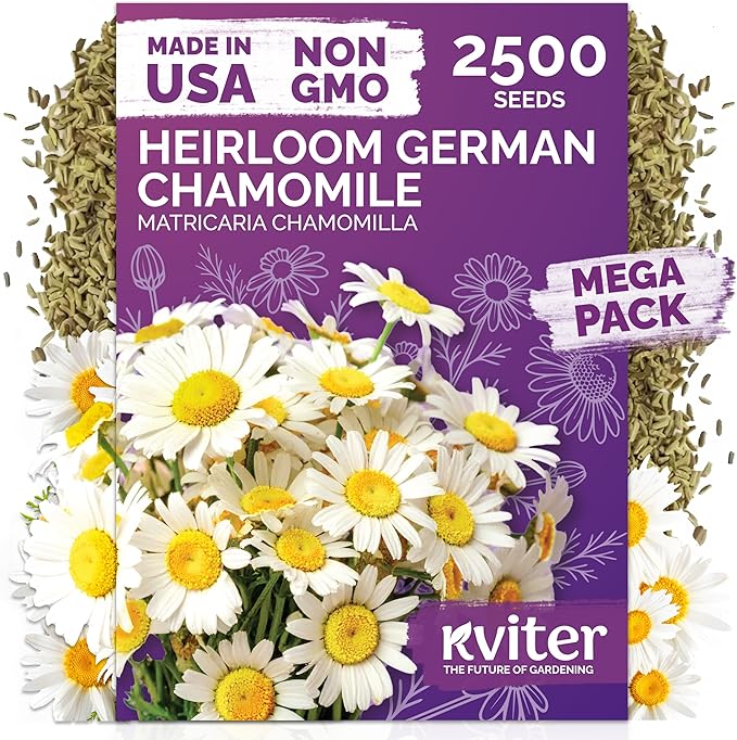 KVITER 2,500 German Chamomile Seeds for Planting (Matricaria Chamomilla/Recutita) – Heirloom & Non-Gmo Medicinal Herb Seeds, Flowers for Remedies & Chamomile Tea Organic – Indoors/Outdoors Herb Garden