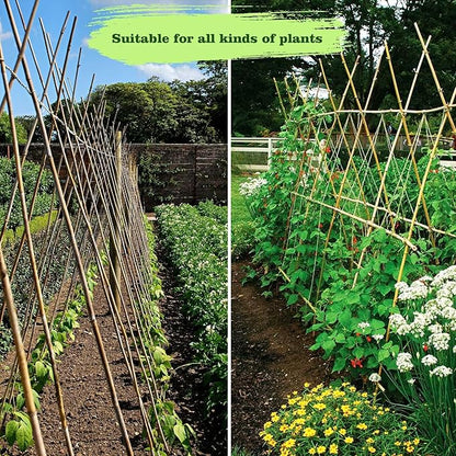 25pcs 1/2" D Thicker Heavy Duty Bamboo Stakes, 4.75FT Plant Stakes, Natural Garden Stakes for Tomato, Bean, Flowers,Trees Potted and Climbing Plant Support