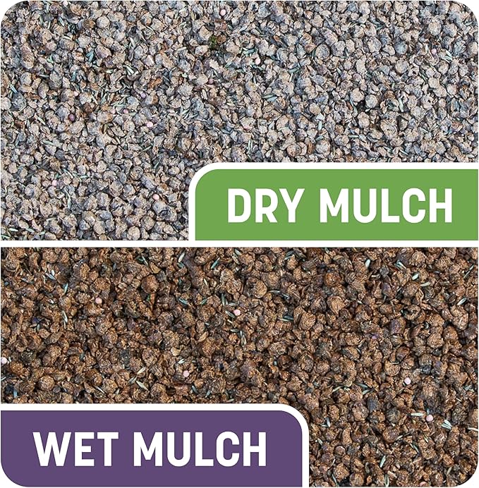 Pennington Smart Patch Dense Shade Mix Jug 5 lb