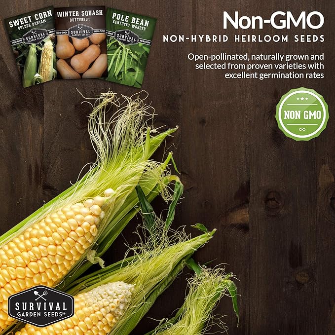 Three Sisters Collection Seed Vault - Non-GMO Heirloom Seeds for Planting Vegetables - Sweetcorn, Butternut Winter Squash & Pole Beans for Growing on Your Homestead - Survival Garden Seeds