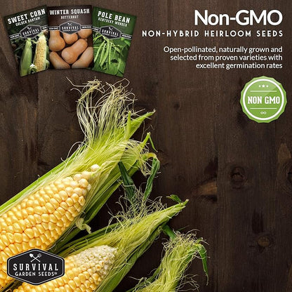 Three Sisters Collection Seed Vault - Non-GMO Heirloom Seeds for Planting Vegetables - Sweetcorn, Butternut Winter Squash & Pole Beans for Growing on Your Homestead - Survival Garden Seeds
