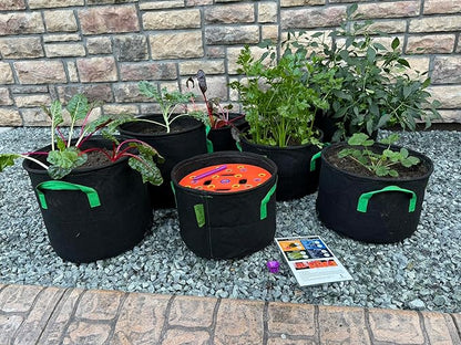 Seeding Square Fabric Grow Bags (7 Gallon) – Durable, Reusable Air-Pruning Plant Pots for Vegetables, Fruits & Herbs – Eco-Friendly Breathable Planter Bags for Healthy Roots & Bigger Harvests
