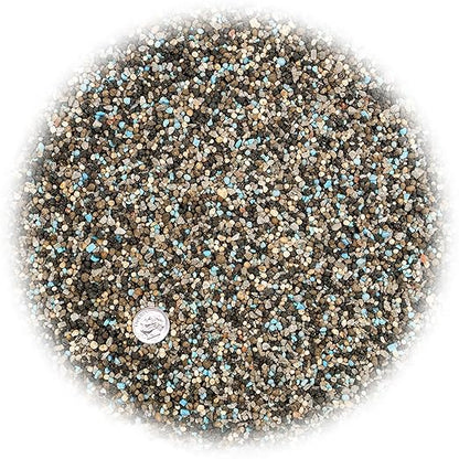Gardenera All Purpose Garden Fertilizer (6-6-6) - Enhance The Health and Resilience of Your Plants - 4 QUARTS