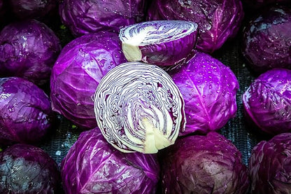 Red Acre Cabbage Seeds for Planting – Plant & Grow Heirloom Red Acre Cabbage in Home Outdoor Vegetable Garden, Brassica oleracea VAR. capitata– 2 Packets