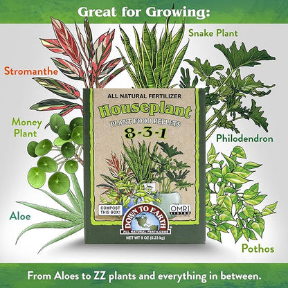 Down to Earth All Natural Fertilizers Indoor Houseplant Plant Food Pellets - Dust and Odor Free 8-3-1, 8 oz