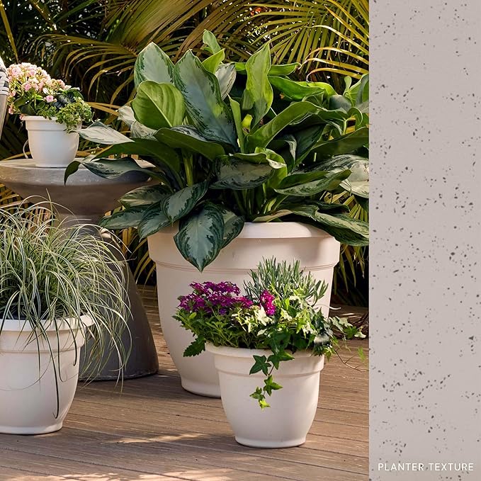 Bloem Ariana 20" Vanilla Bean Round Self-Watering Resin Planter Pot - Rolled Rim Indoor and Outdoor Gardening Planter