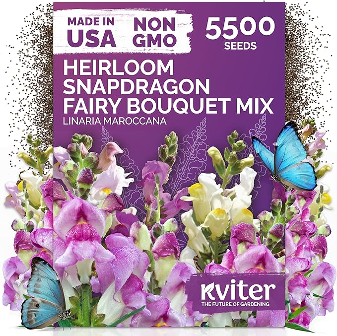 KVITER 5,500 Fairy Bouquet Mix Snapdragon Seeds for Planting (Linaria Maroccana) – Known as Toadflax, Heirloom & Organic – Flower Seeds to Plant Outside & Inside – Garden, Containers, Borders, Beds