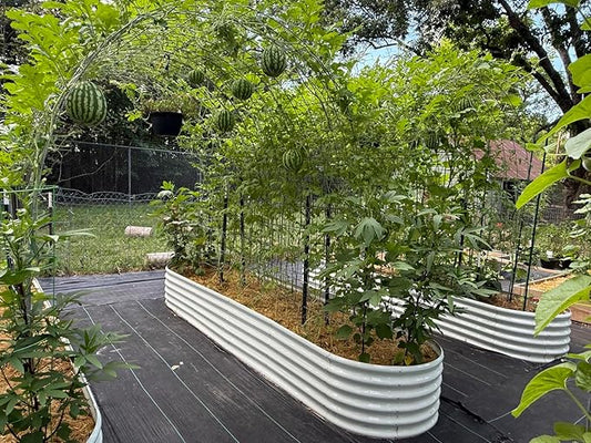 A ANLEOLIFE 12X3X1.5 ft Galvanized Raised Garden Beds Outdoor, Oval Extra Large Metal Planter Box for Planting Vegetables Flowers Herb, Anti-Rust & Easy-Setup, Antique White