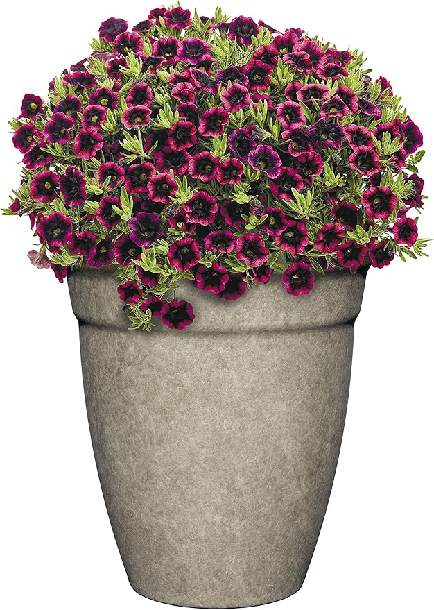 Classic Home and Garden Premiere Collection Planter, Allaire 12", Cloud Gray