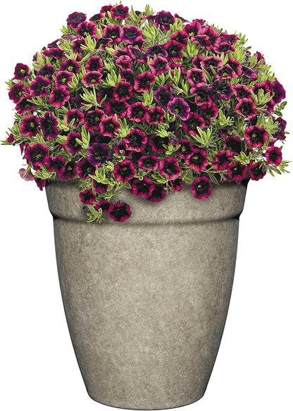 Classic Home and Garden Premiere Collection Planter, Allaire 12", Cloud Gray