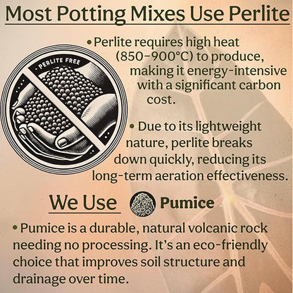 Craft Aroid Potting Mix- Elite Organic Alocasia, Philodendron, Monstera Soil Mix, Chunky, Well Draining Potting Soil for Indoor Plants, All Tropical Plants & Houseplants, Perlite & Peat Free 2QT