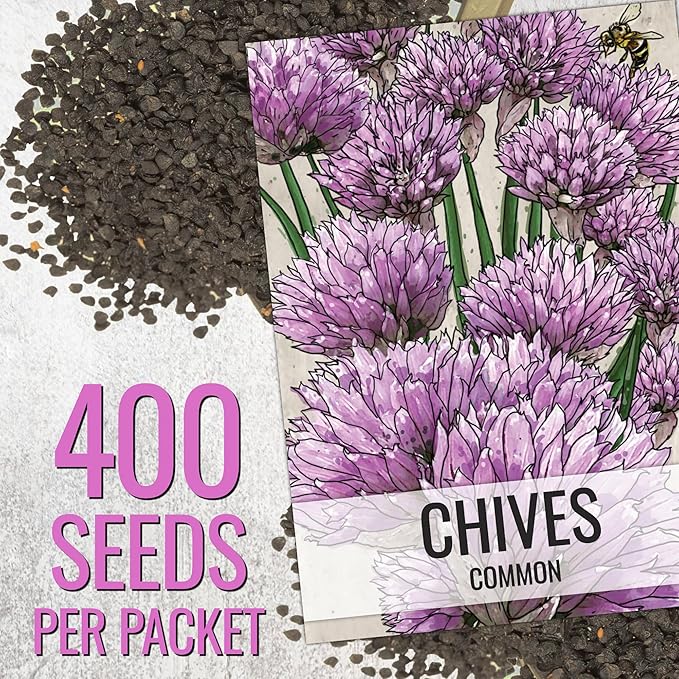 Seed Needs Borage & Chives Seeds for Planting Fresh Kitchen Herbs - Non-GMO Heirloom & Untreated Perennial Herb Seed to Plant a Culinary Garden Indoors or Outdoors (2 Packs)
