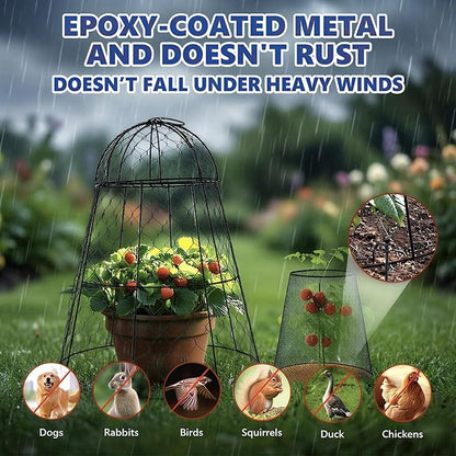 Garden Cloches for Plants, Chicken Wire Plant Cages, Plant Protectors from Animals, Combo Pack, 12 Pcs (6 Large 17.7" × 12.8" + 6 Small 5.87" × 9")