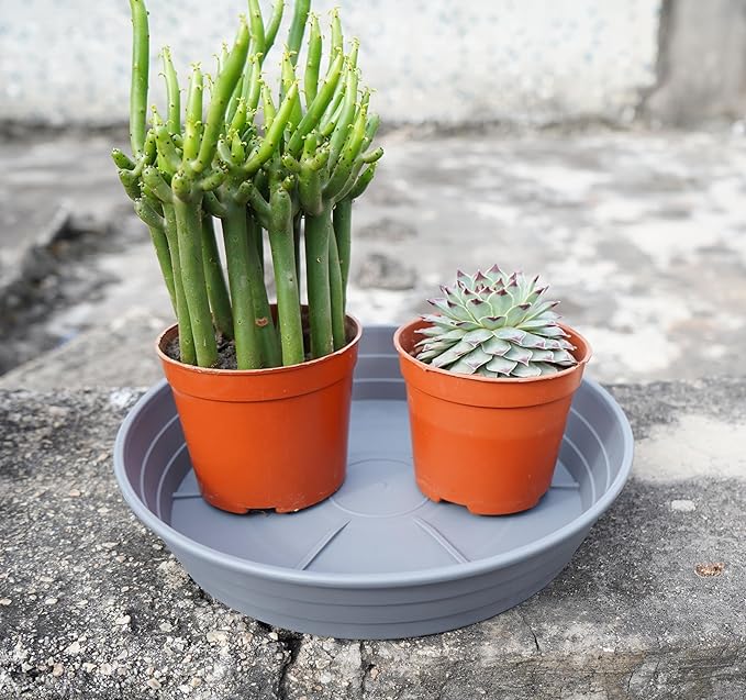 Plant Saucer 14 Inch 4 Pack 6 8 10 12 14 16 18 20 25, Plastic Plant Trays for Pots，Extra-Deep Plant Water Dray Tray, Bird Bath Bowl, Heavy Flower Plant Saucers Indoors and Outdoor No Holes