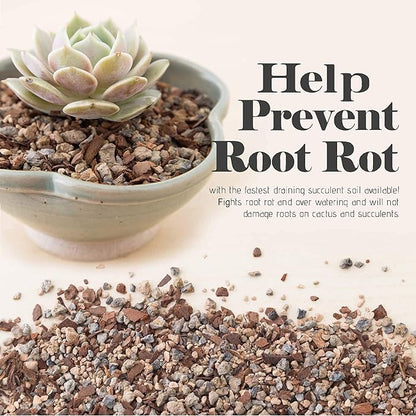 Bonsai Jack Succulent, Cactus and Bonsai Soil - Jacks Gritty Mix - 12 Gallons – Fast Draining – Fight Root Rot – Optimized pH