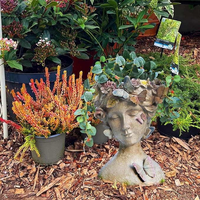 Face Flower Pot Head-Planters Succulent - 10 Inch Garden Resin Face Planter with Drainage Hole for Indoor and Outdoor Plant 7.75 * 6.75 * 10 Inch