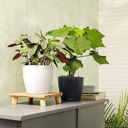 Lechuza Classico Color 21 Slate, Self-Watering Small Round Planter, D8.3 H7.9 in
