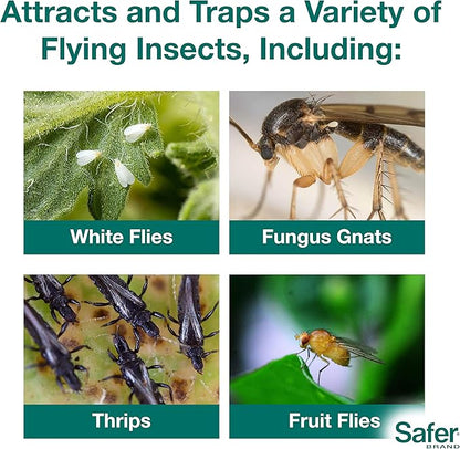 Safer Brand 5026 Houseplant Sticky Stake Insect Traps for Indoor Plants - Controls Fungus Gnats, Whiteflies, Midges, Thrips, Fruit Flies, and Black Flies - 1 Pack, 7 Traps