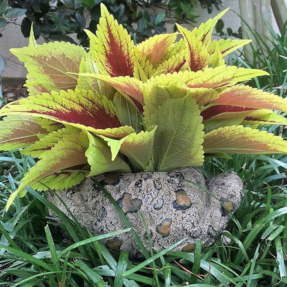 Toad Hollow HomeStyles Large Toad Planter 7" H Holds 4" W Pot, Natural Brown