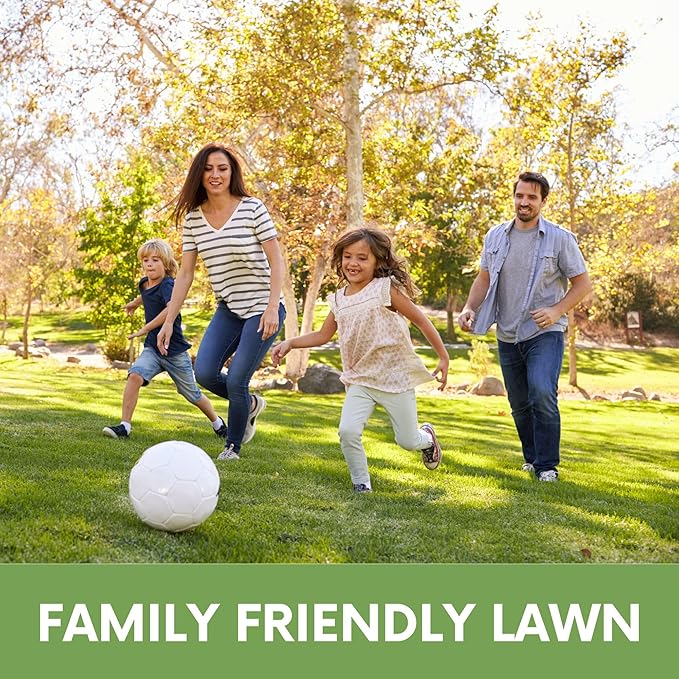 Flawn Seed Kits Simple Lawn Mow Less Fine Fescue Eco-Grass Seed, 1 Lb, Low Maintenance, Shade Tolerant, Covers up to 500