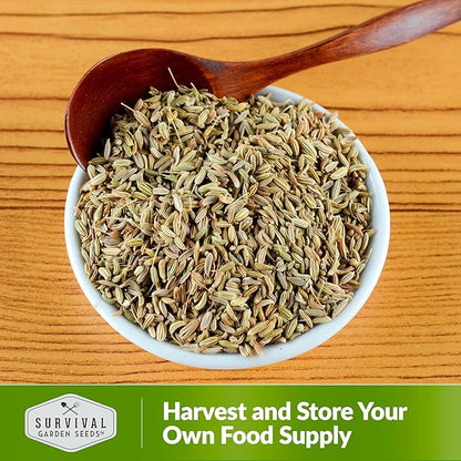 Anise Seeds for Planting - Sweet Anise Herb (Pimpinella anisum) - Culinary and Tea Garden Variety, Heirloom Non GMO - Survival Garden Seeds (2 Pack)
