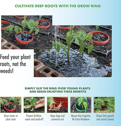Kids Cucumber Garden Kit – Grow Your Own Cucumbers from Seeds with Greenhouse Germination Domes & Grow Rings, Non-GMO Seeds, BPA-Free | Gardening Gift for Kids & Families, Made in USA