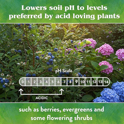 Down To Earth All Natural Fertilizers Organic Garden Sulfur Acidifier - Soil Amendment Lowers Soil pH for Hydrangeas, Berries, Evergreens, 5 lb