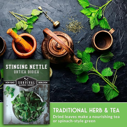Stinging Nettle Seeds for Planting - Urtica Dioica Medicinal Herb & Edible Perennial - Common Nettle for Tea, Cooking & Wellness - Heirloom Non-GMO - Survival Garden Seeds (3 Packs)