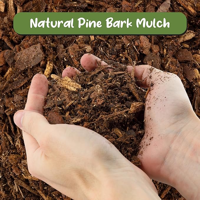 Soil Sunrise 100% Natural Pine Bark Mulch Nuggets (30 Quarts) Small Mulch Chips for Indoor/Outdoor Container Gardening, Ideal for Soil Supplement, Houseplant Mulch, and Terrariums
