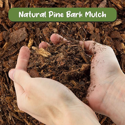 Soil Sunrise 100% Natural Pine Bark Mulch Nuggets (30 Quarts) Small Mulch Chips for Indoor/Outdoor Container Gardening, Ideal for Soil Supplement, Houseplant Mulch, and Terrariums