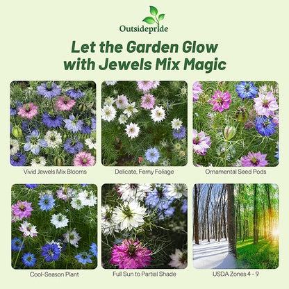 Outsidepride Jewels Mix Nigella Seeds - 1000 Pcs Annual Flower Seeds for Planting with Vibrant Blooms & Lacy, Fern-Like Foliage, Attractive Cut Flower for Small Garden Spaces & Floral Arrangements