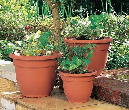 Bloem Ariana 10" Round Self-Watering Resin Planter Pot - Rolled Rim Indoor and Outdoor Gardening Planter, Terra Cotta
