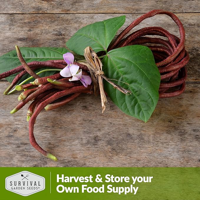 Survival Garden Seeds - Red Noodle Asparagus Bean Seed for Planting - 2 Packs with Instructions to Plant and Extremely Long Stringless Beans in Your Home Vegetable Garden - Non-GMO Heirloom Variety