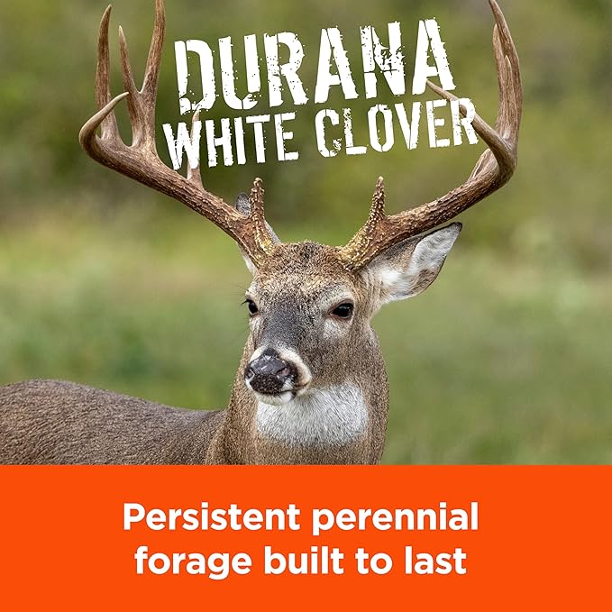 Pennington Rackmaster Durana Food Plot Seed Mix 3 lb