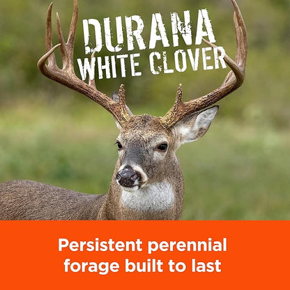 Pennington Rackmaster Durana Food Plot Seed Mix 3 lb