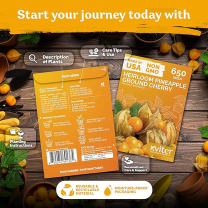 KVITER 650 Aunt Molly Ground Cherry Seeds for Planting (Physalis pruinosa) – Non GMO & Heirloom Pineapple Ground Husk Cherry Tomatoes, Organic Fruit Seeds – Tropical Flavor Berries