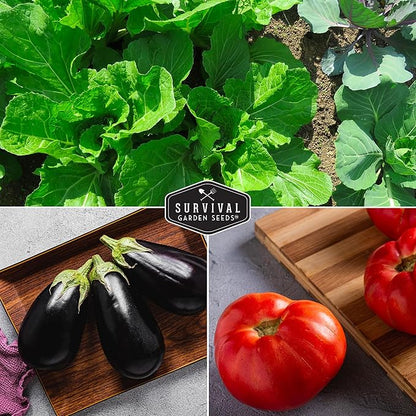 Vegetable Garden Seed Vault for Planting – 15 Pack Collection | Heirloom Non-GMO Family Garden Kit & Gift – Tomato, Lettuce, Cucumber & Squash – Indoor or Outdoor Growing – Survival Garden Seeds
