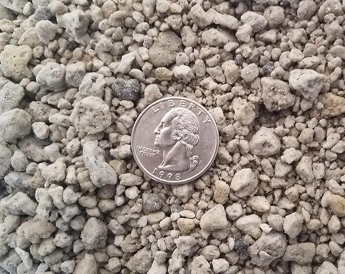 Pumice Garden Rock 2 Gallons 8 Quarts for Soil Amendment Bonsai & Succulents