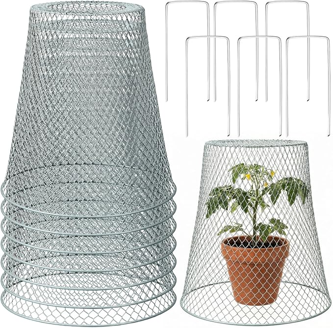 Therwen 6 Pcs Large Chicken Wire Cloche Plant Protector Cover 11x12 Inch Metal Garden Cloche Dome for Plants Wire Protection Basket with Garden Stakes Plant Cages from Animals (Silver)