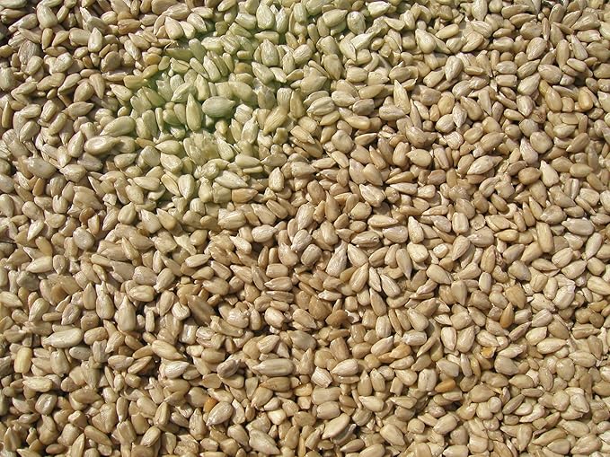 Cole's SM20 Sunflower Meats Bird Seed, 20-Pound