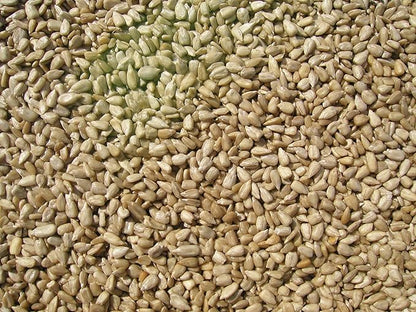 Cole's SM20 Sunflower Meats Bird Seed, 20-Pound
